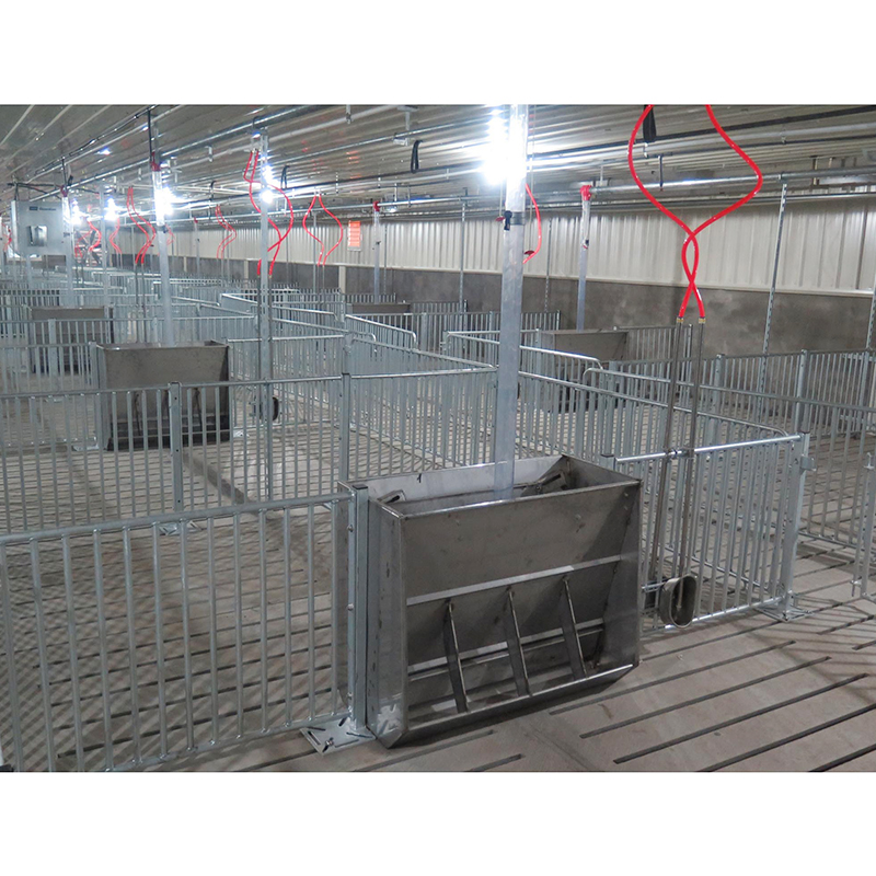 How does the design of fattening pens ensure the safety and comfort of pigs?